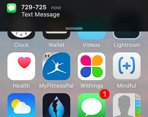 In addition to a number of app icons, a text message notification appears on an iPhone launch screen. The notification displays the sender's six-digit phone number. Instead of the message's contents, though, it only states 